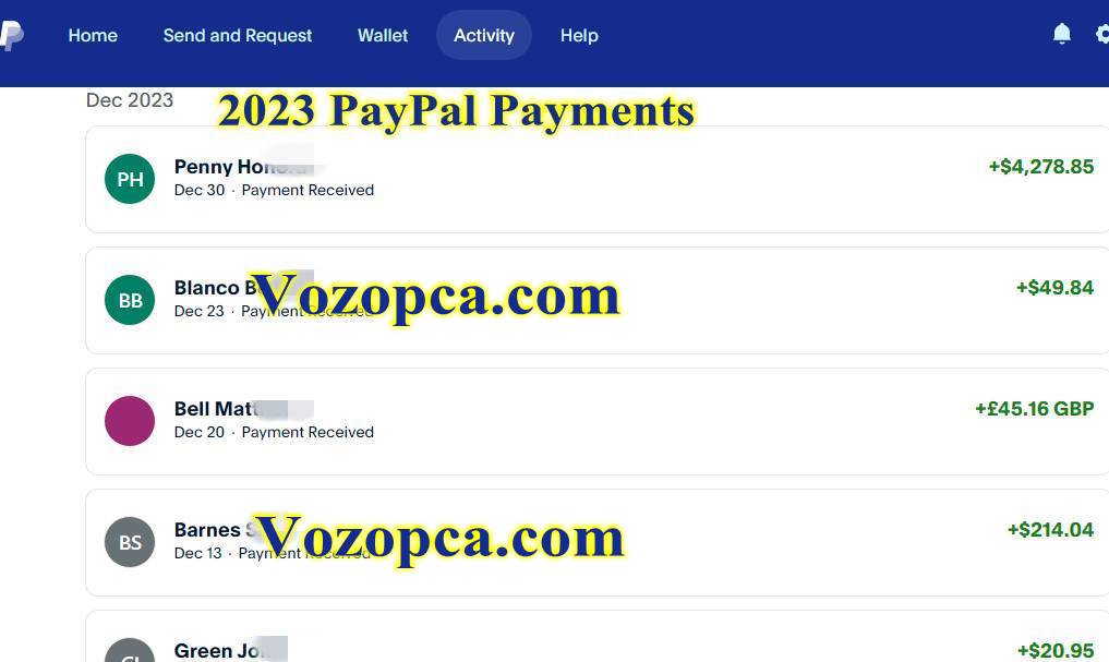 vozopca_paypal_payments_reliable_professional_led_lights_controllers_factory_supplier_12